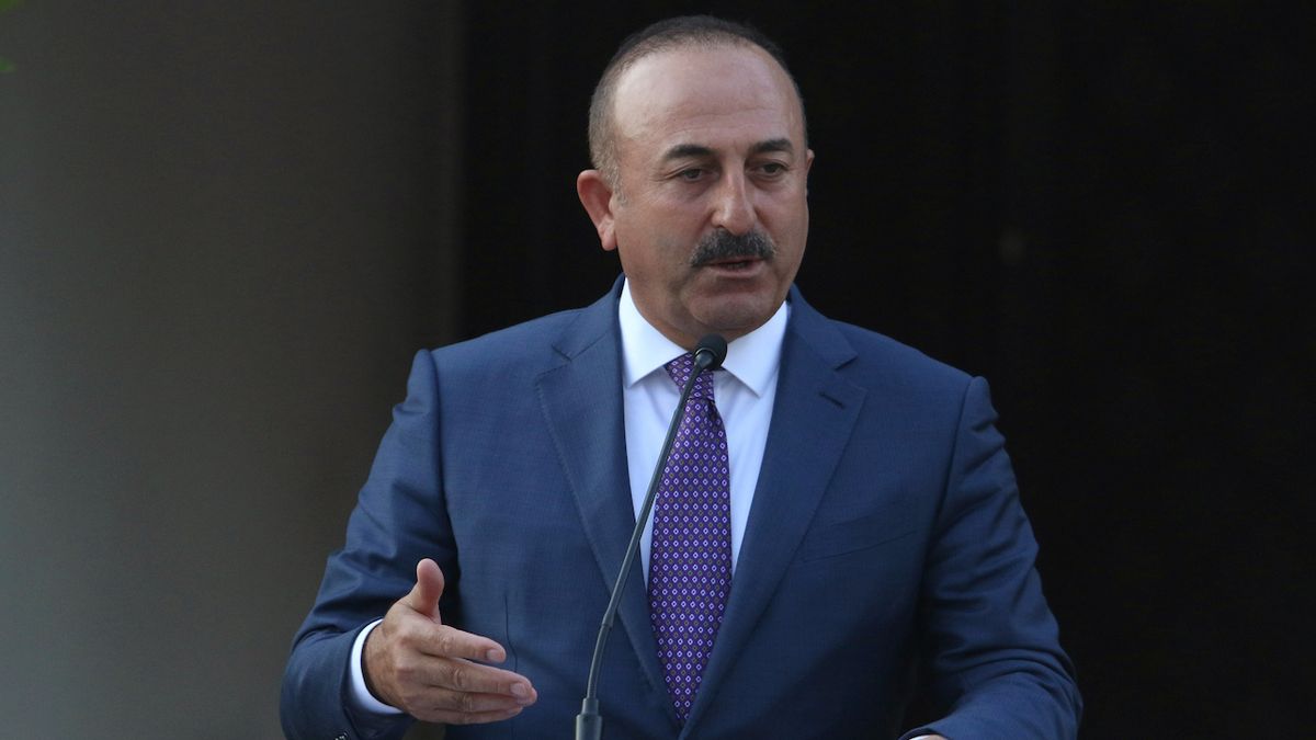 Ankara podporuje Zelenského 10bodový mírový plán, řekl šéf turecké diplomacie